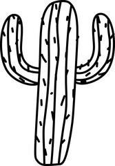 cactus vector illustration, illustration of cactus, succulent, tropical plant. Botanical desert cactus.