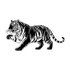 Obraz premium Majestic black and white tiger prowls with powerful grace, embodying raw strength and untamed wilderness for impactful designs.
