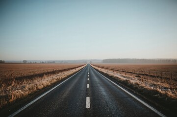 Naklejka premium Rural Pathway Amidst Snowy Landscape