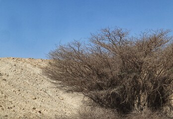dunes in the Arava desert