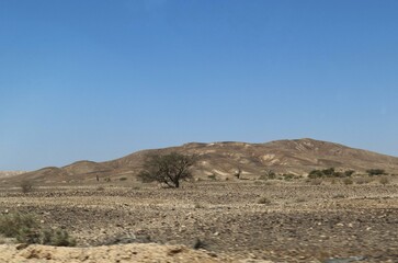 desert landscape with blue sky