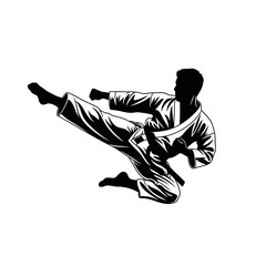 Naklejka premium Dynamic martial artist executing a powerful flying kick, embodying strength, discipline, and focus, perfect for fitness, sports, and training visuals