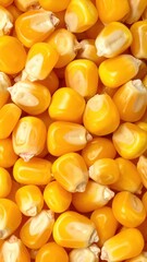 Close-up View of Fresh Yellow Corn Kernels for Food Photography