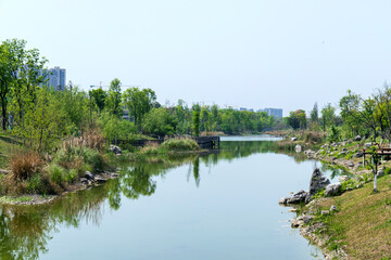 Fototapeta premium The green scenery of the ecological lake in Chengdu Guixi Ecological Park