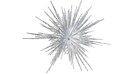 Obraz premium A shimmering burst of silver glitter, radiating outwards in a starburst pattern, isolated on transparent background, creating a dazzling and festive effect