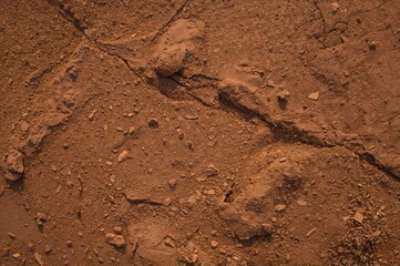 Summer dry mud surface texture with natural stone ground layers