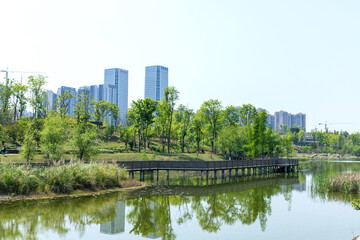 Naklejka premium The green scenery of the ecological lake in Chengdu Guixi Ecological Park