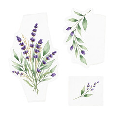 Watercolor lavender sprigs and leaves isolated on transparent background