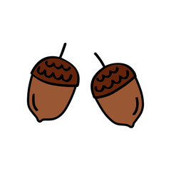 Acorns hand drawn isolated illustration on white background. Oak tree fruit. Doodle vector autumn clip art