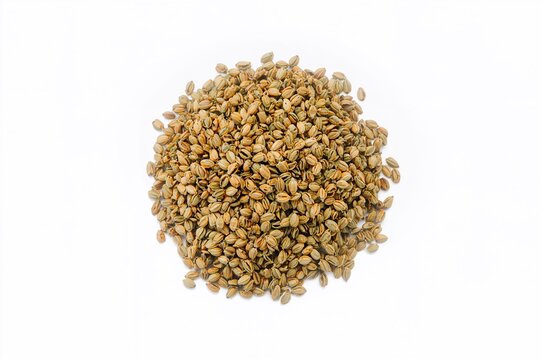 Detailed view of dried natural broccoli seeds against a white backdrop, seen from above
