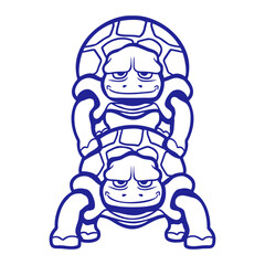 Wasserschildkröte Schildkröte Meer 15