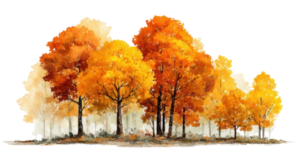 Watercolor fall forest with orange and yellow trees on transparent background
