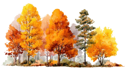 Watercolor fall forest with orange and yellow trees on transparent background