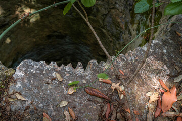 Old abandoned stone well among the bushes lin the forest with green plants and ivy, Corfu Greece