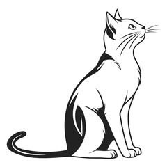 black cat vector illustration