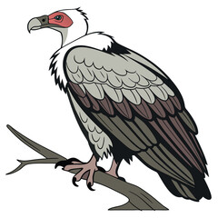 Illustration of a vulture bird perched on a branch