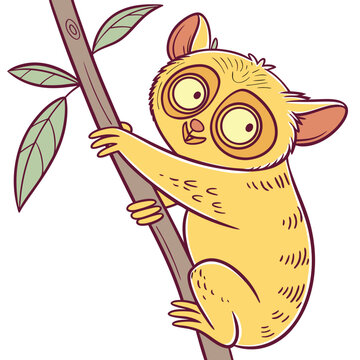 yellow tarsier climbing tree branch clip art preview