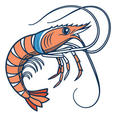 Illustration of a cooked shrimp