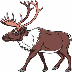 Illustration of a reindeer