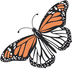 Monarch butterfly