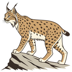 Lynx standing on a rock