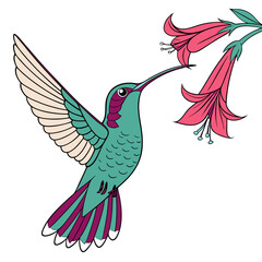 Hummingbird feeding on pink tubular flowers