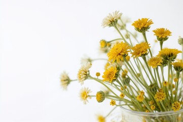Detailed view of exquisite golden tea with fresh flowers in a transparent teapot on a white backdrop