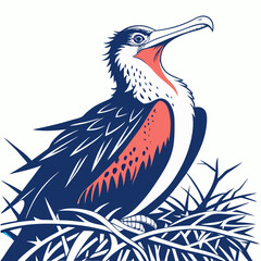 Obraz premium Magnificent frigatebird with red throat pouch