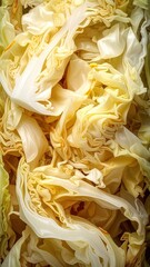 Close-Up View of Freshly Cut Cabbage Leaves Layered Abstractly