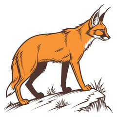 Maned wolf standing on a rock