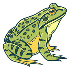 Green frog with yellow belly and dark spots