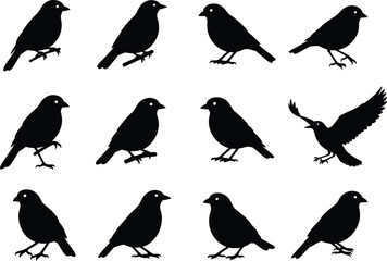 Bird silhouette collection, perched birds, flying pose, black vector art, profile view, wing positions, abstract illustration, avian posture, minimal design, wildlife theme
