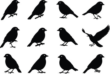 Bird silhouette grid, black vector birds, posture variation, wing spread, visual puzzle, standing birds, abstract design, minimal style, wildlife theme, profile view