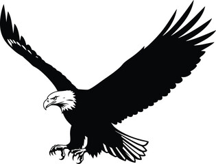 Flying bald eagle vector silhouette, majestic bird of prey in attack pose, black and white illustration, wildlife raptor design for prints
