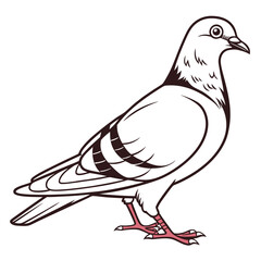Obraz premium dove of peace