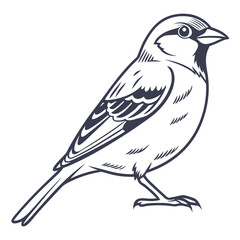 bird on a branch