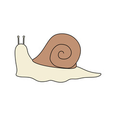snail vector illustration