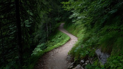 Obraz premium Peaceful hiking trail winds through lush green forest, surrounded by tall trees and vibrant foliage. serene atmosphere invites exploration and connection with nature