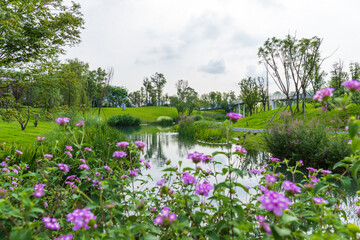 The ecological and green scenery of Jiaozi Park in Chengdu, Sichuan Province, China