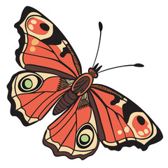 butterfly vector illustration