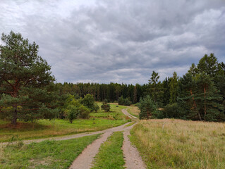Fototapeta premium A dirt road in the middle of a grassy field with trees in the background