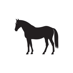 Equestrian Vector (3).eps