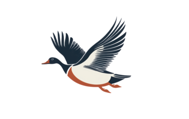 Flying duck logo design on white background,png