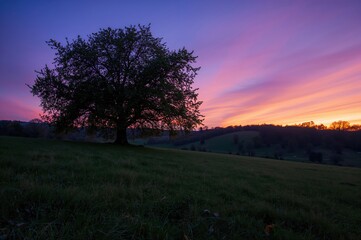 Obraz premium Evening glow over rural fields with vibrant colors and natural beauty