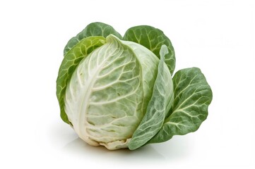 Fresh cabbage vegetable on white backdrop with clipping path, healthy green garden produce