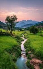 Obraz premium A tranquil stream winds through lush rice paddies beneath a pastel-hued evening sky, showcasing a serene rural landscape.