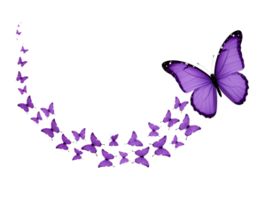 Flock of small purple butterflies with large leading butterfly, isolated on a transparent background, PNG