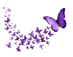 Flock of small purple butterflies with large leading butterfly, isolated on a transparent background, PNG