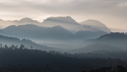Fototapeta premium Gorgeous peaks enveloped in morning mist with no sunlight