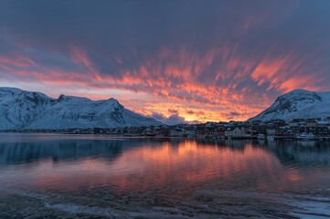 Vibrant sunset over a harbor in winter